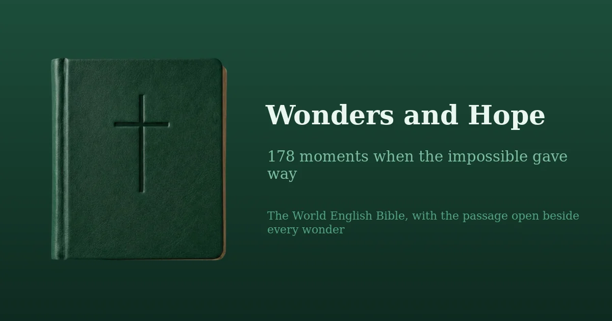An open Bible glowing with light on its pages